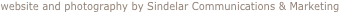 shapeimage_10_link_0