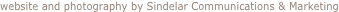 shapeimage_4_link_0